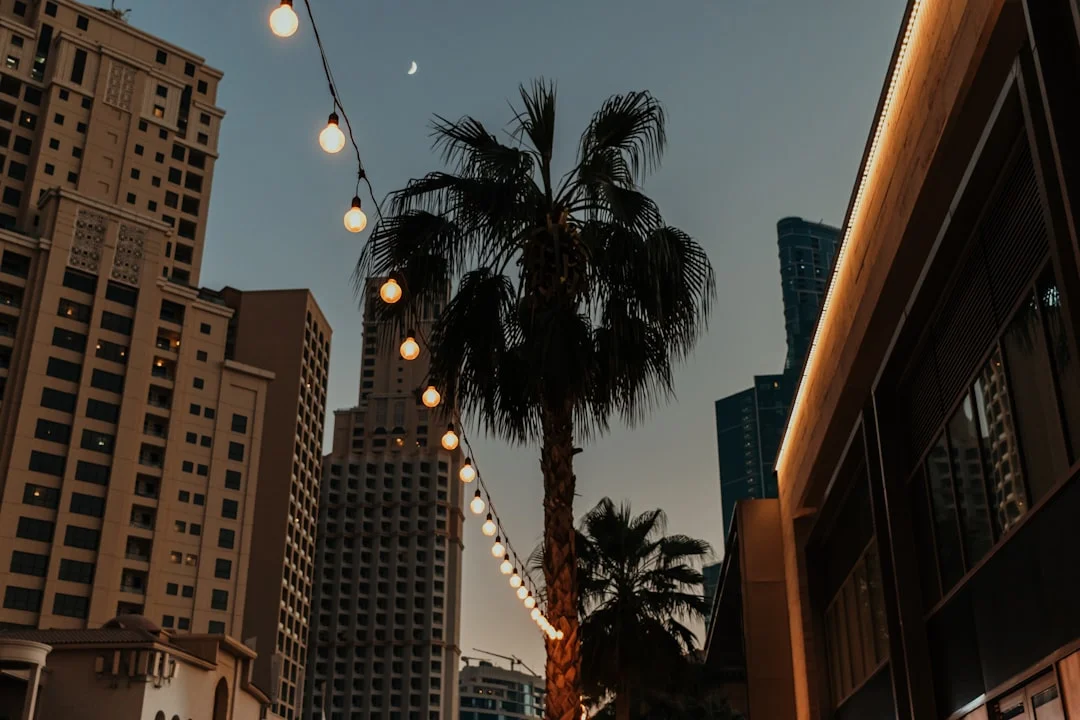 Dubai scenic view and landmarks