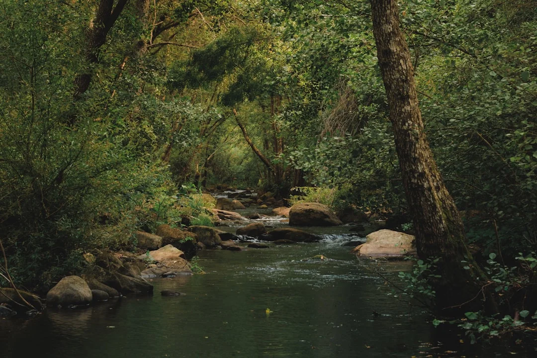 Jones Is Hollywood’s Eternal After-Party - scenic view and landmarks