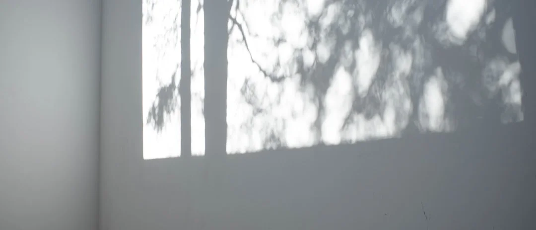 a blurry image of trees