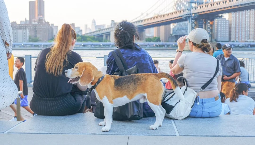 A group of people sitting next to each other with a dog