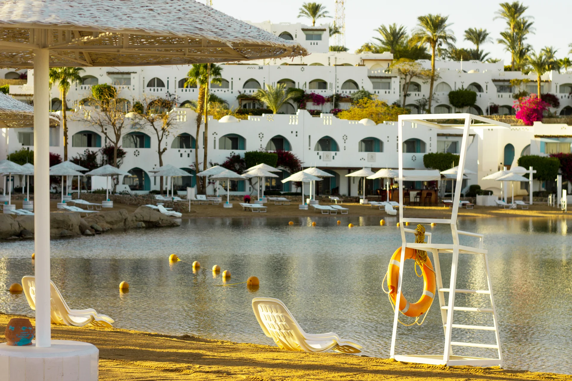 Resort beach with palm tree at the coast shore of Red Sea in Sharm el Sheikh Sinai Egypt